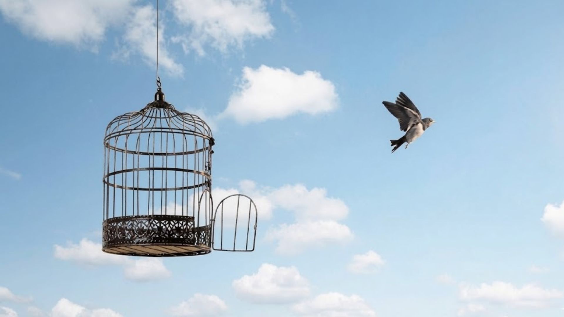 The Scarcity Trap: How to Shift from Survival Mode to Abundance Thinking